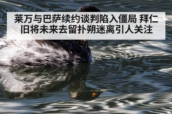 莱万与巴萨续约谈判陷入僵局 拜仁旧将未来去留扑朔迷离引人关注
