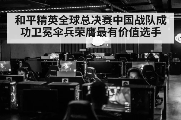 和平精英全球总决赛中国战队成功卫冕伞兵荣膺最有价值选手